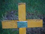image of grave number 971647